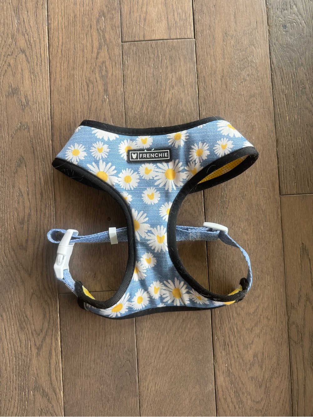 Frenchie Daisy Print Blue Dog Harness - Size Large